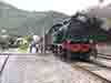 Steam (30)
